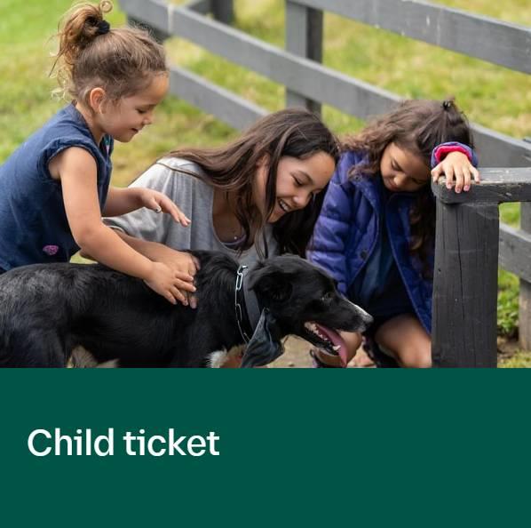 Farm Experience - 1 x Child